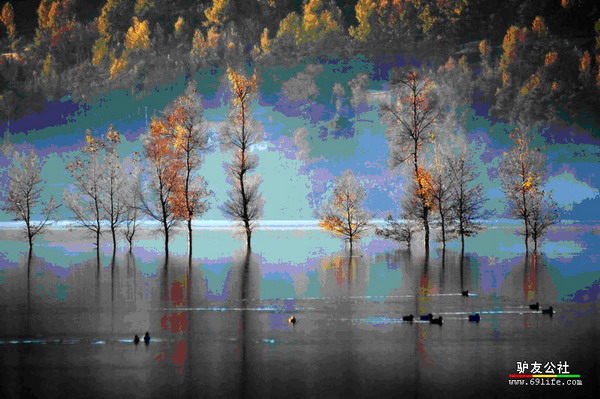 念湖6